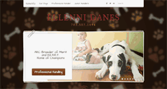 Desktop Screenshot of ellennidanes.com