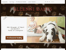 Tablet Screenshot of ellennidanes.com